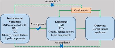 Obesity, Type 2 Diabetes, and the Risk of Carpal Tunnel Syndrome: A Two-Sample Mendelian Randomization Study